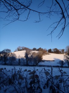 Devon Hills