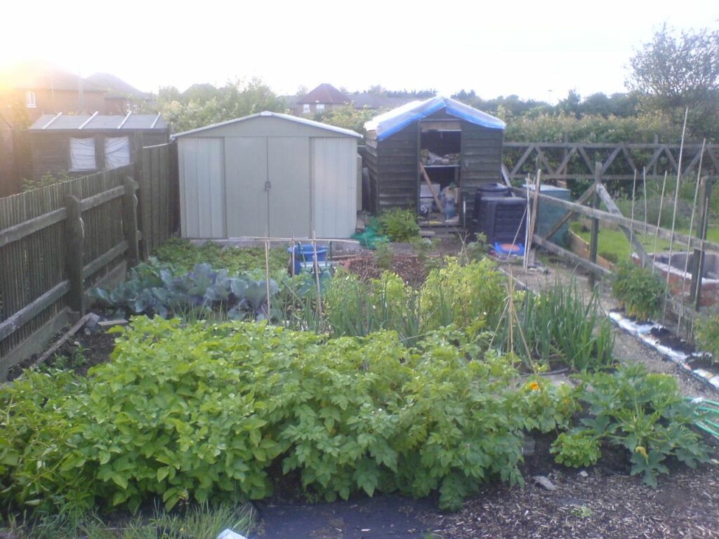 A photo of our garden including two large sheds.